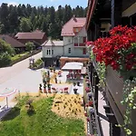 Hohenried 3* Freudenstadt