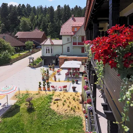 Hohenried 3* Freudenstadt