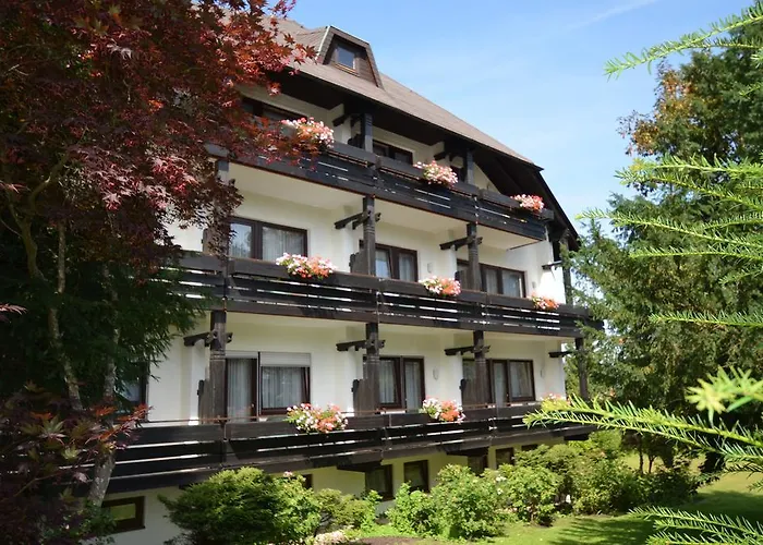 Hohenried 3* Фройденштадт