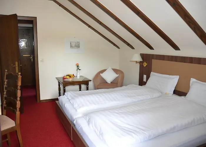 Hohenried Отель Фройденштадт