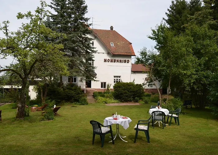 Hohenried Фройденштадт