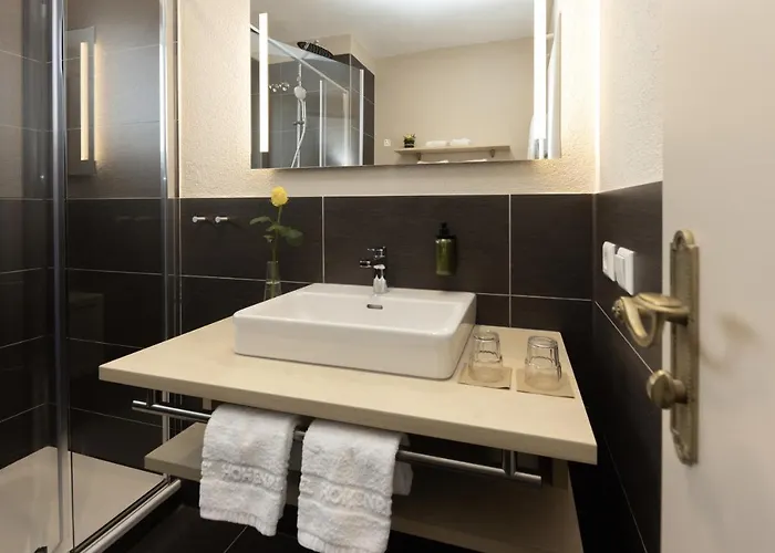 Hohenried Отель 3*