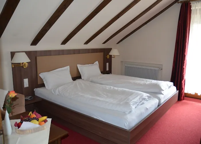 Отель Hohenried