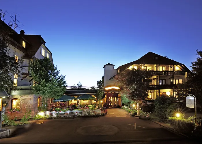 Hohenried 3* Фройденштадт