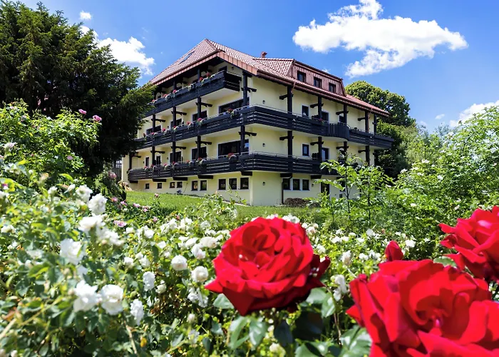 Hohenried Отель 3*