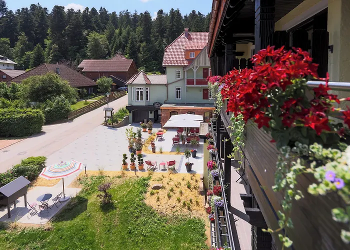 Hohenried 3* Фройденштадт